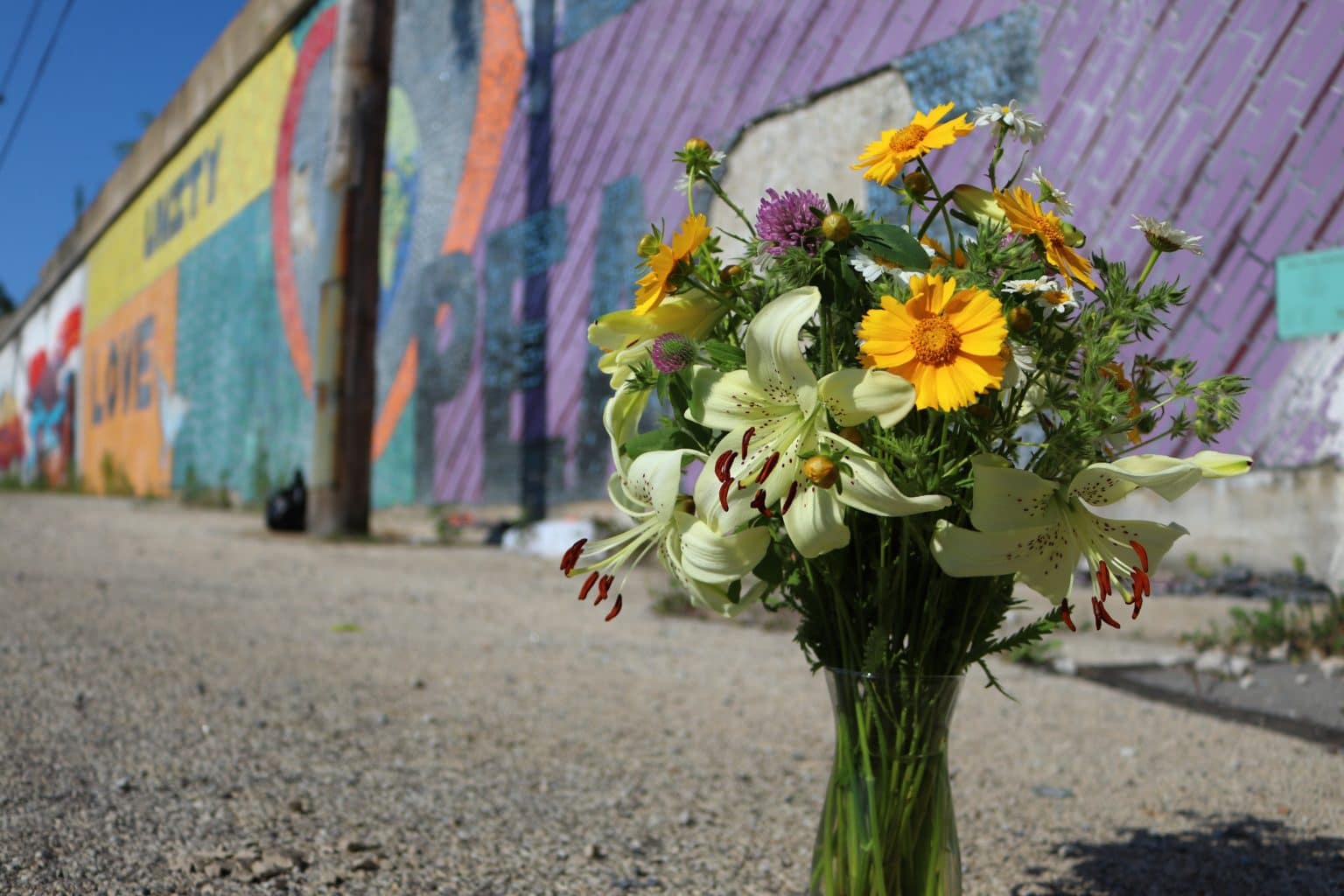 flower-farms-projects-chicago-eco-house